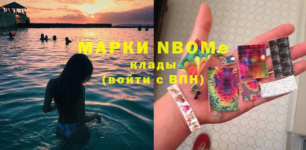 гашик Зерноград