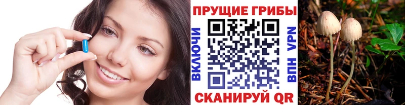 darknet наркотические препараты  Каменногорск  Галлюциногенные грибы ЛСД 